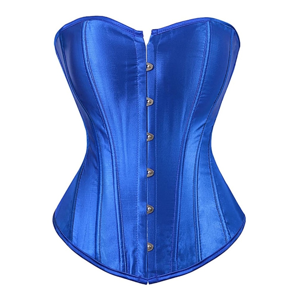 NWT Blue Corset Top